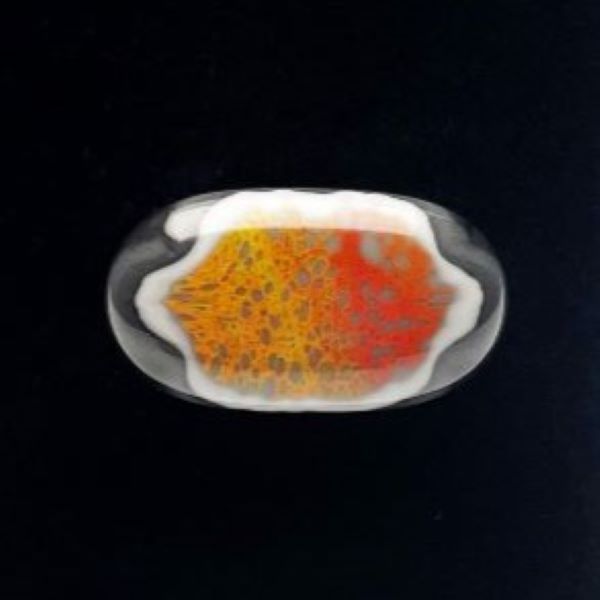 Fused-glass-pin-with-black-background-white-orange-yellow-Its-A-Blast-Glass-Tucson