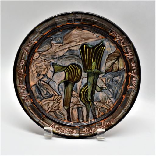 Jack in the Pulpit Pottery Plate 